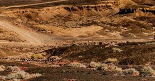 107-91！詹姆斯缺阵，东契奇空砍38+10+10，马刺终结湖人3连胜